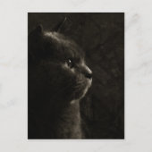 Kegelsilhouet - Briefkaart (Voorkant)