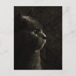 Kegelsilhouet - Briefkaart