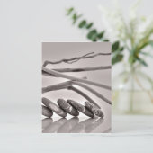 keibogen en drijfhout briefkaart (Staand voorkant)