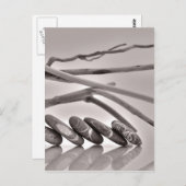 keibogen en drijfhout briefkaart (Voorkant / Achterkant)