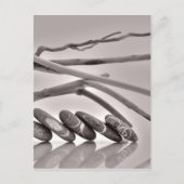 keibogen en drijfhout briefkaart (Voorkant)