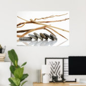 keibogen en drijfhout poster (Thuiskantoor)