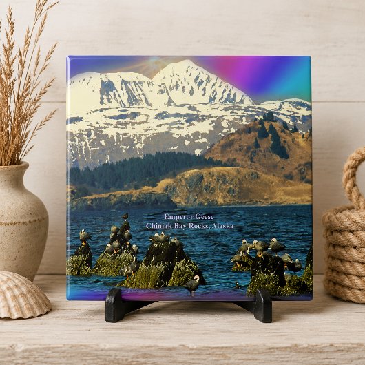 Keizer ganzen op Chiniakbaai bij Chiniak, Alaska Tegeltje