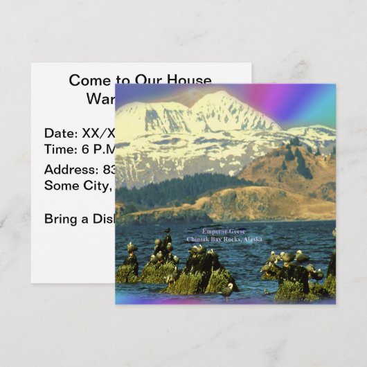 keizer Geese op de baai van Chiniak bij Chiniak, A Kaart (Voorkant / Achterkant)