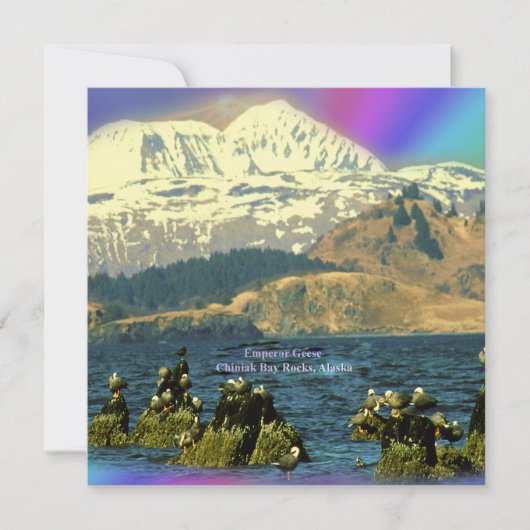keizer Geese op de baai van Chiniak bij Chiniak, A Kaart (Voorkant)