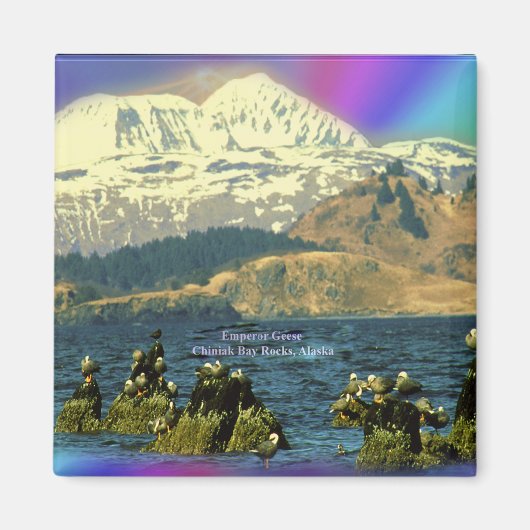 keizer Geese op de baai van Chiniak bij Chiniak, A Magneet (Voorkant)