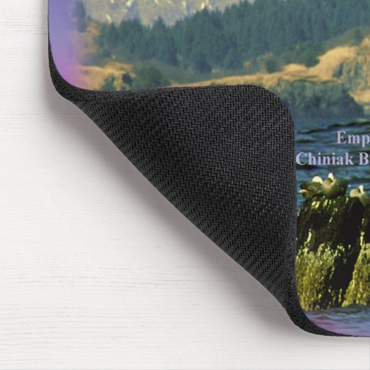 keizer Geese op de baai van Chiniak bij Chiniak, A Muismat (Hoek)