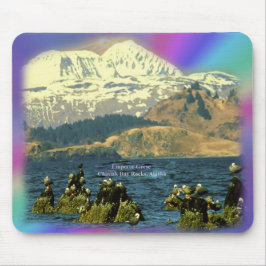 keizer Geese op de baai van Chiniak bij Chiniak, A Muismat