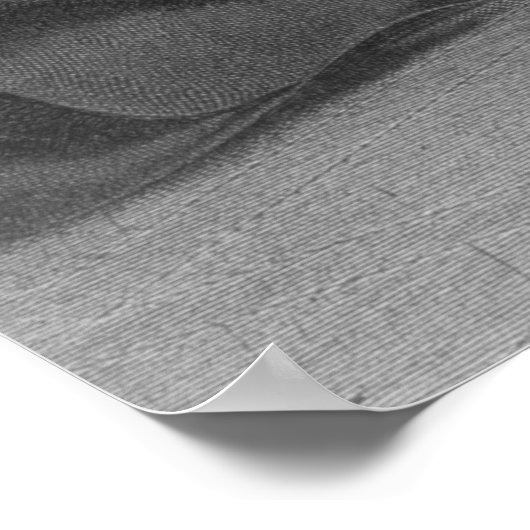 keizer Napoleon Bonaparte Poster (Hoek)