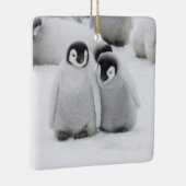keizer Penguin Chicks on Ice in Antarctica Keramisch Ornament (Rechts)