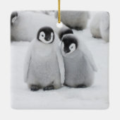 keizer Penguin Chicks on Ice in Antarctica Keramisch Ornament (Achterkant)