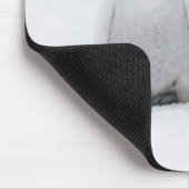 keizer Penguin Chicks on Ice in Antarctica Muismat (Hoek)