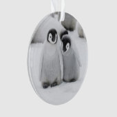 keizer Penguin Chicks on Ice in Antarctica Ornament (voorkant)