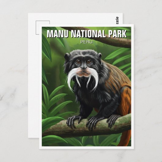 Keizer Tamarin in het Nationaal Park Manu Briefkaart (Voorkant / Achterkant)