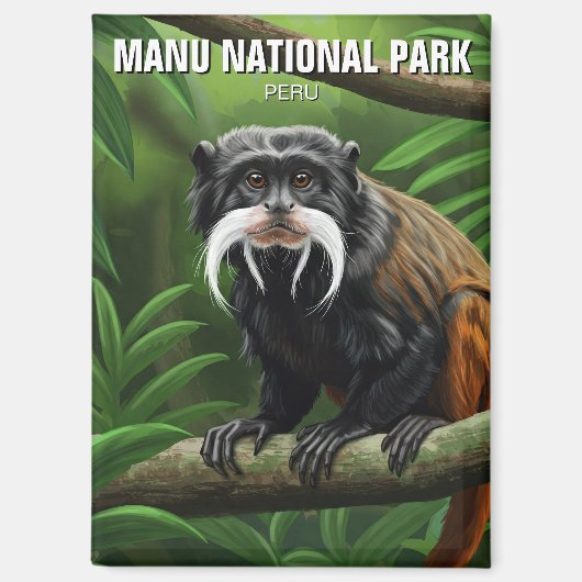 Keizer Tamarin in het Nationaal Park Manu Magneet (Voorkant)