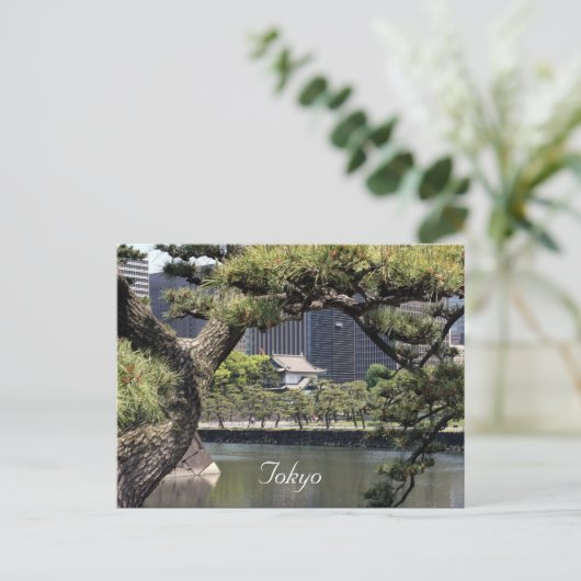 keizercomplex briefkaart (Staand voorkant)