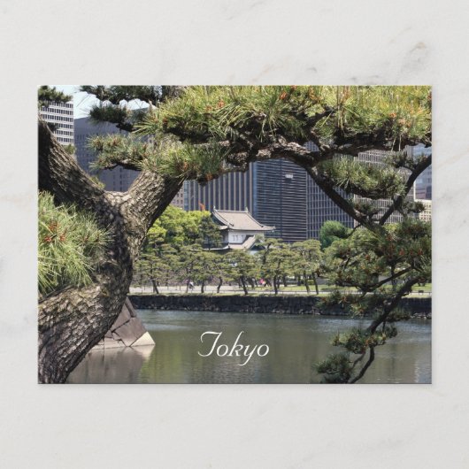 keizercomplex briefkaart (Voorkant)