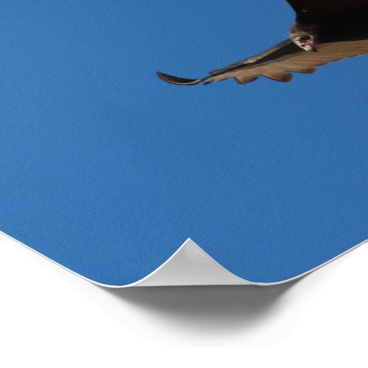 Keizerin in Turkije Poster (Hoek)