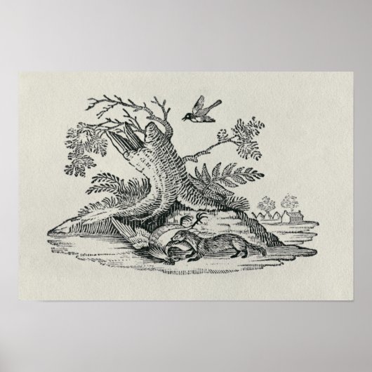 Keizerin uit de geschiedenis van Quadrupeds Poster (Voorkant)