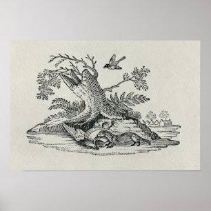 Keizerin uit 'Geschiedenis van Quadrupeds' Poster