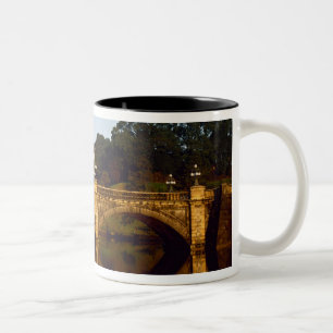 Keizerlijk Paleis, Nijubashibrug, Tokio, Japan Tweekleurige Koffiemok