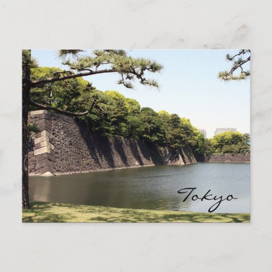 keizermot briefkaart (Voorkant)