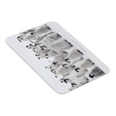 keizerpinguïn magneet (Rechterzijde)