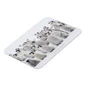 keizerpinguïn magneet (Linkerzijde)