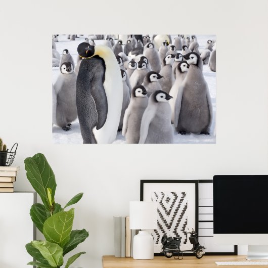 keizerpinguïn met poster van kuikens (Thuiskantoor)