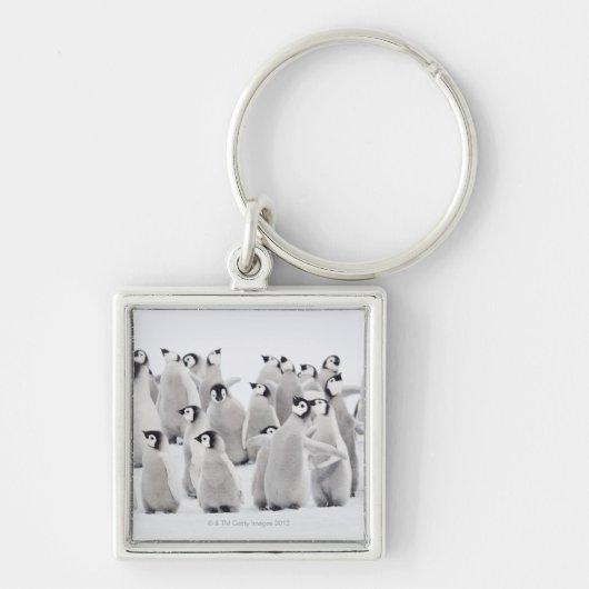 keizerpinguïn sleutelhanger (Voorkant)