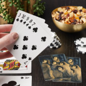 Keizerpinguïnkuikens in crèche, Aptenodytes Pokerkaarten (Insitu)