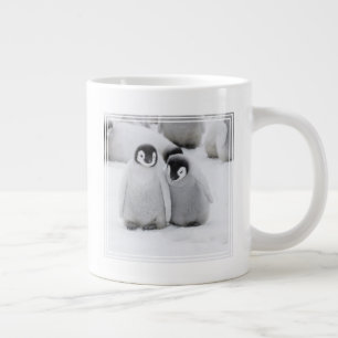 Keizerpinguïnkuikens op het ijs in Antarctica Grote Koffiekop