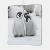 Keizerpinguïnkuikens op het ijs in Antarctica Keramisch Ornament (Links)