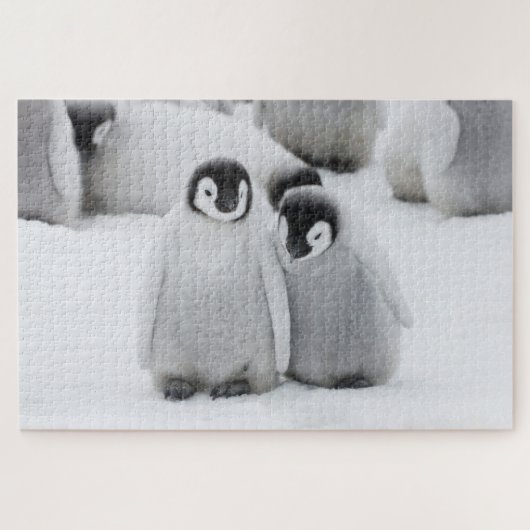 Keizerpinguïnkuikens op het ijs in Antarctica Legpuzzel (Horizontaal)