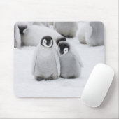 Keizerpinguïnkuikens op het ijs in Antarctica Muismat (Met muis)