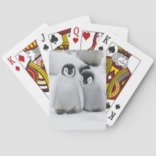 Keizerpinguïnkuikens op het ijs in Antarctica Pokerkaarten