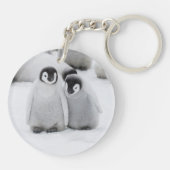 Keizerpinguïnkuikens op het ijs in Antarctica Sleutelhanger (Achterkant)