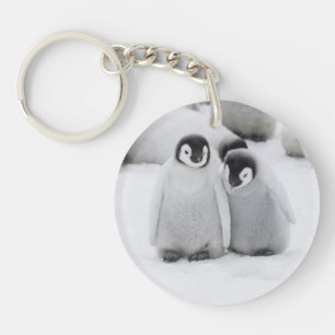 Keizerpinguïnkuikens op het ijs in Antarctica Sleutelhanger