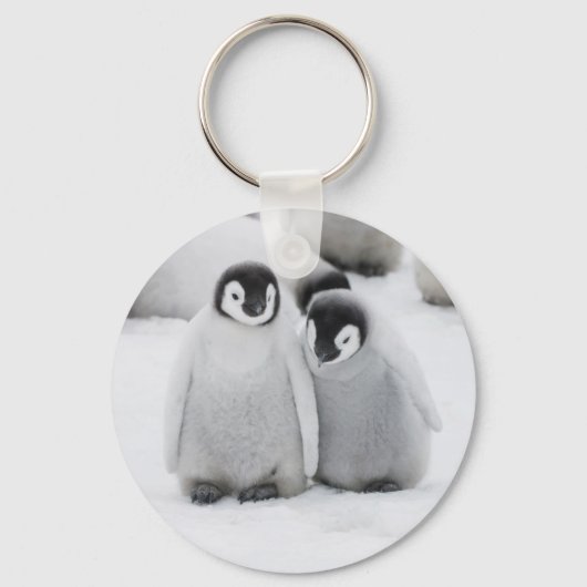 Keizerpinguïnkuikens op het ijs in Antarctica Sleutelhanger (Voorkant)