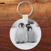Keizerpinguïnkuikens op het ijs in Antarctica Sleutelhanger (Voorkant)