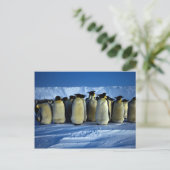 keizerpinguïns met moonlicht briefkaart (Staand voorkant)