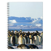 keizerpinguïns notitieboek (Voorkant)