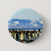 keizerpinguïns ronde button 5,7 cm (Voorkant)