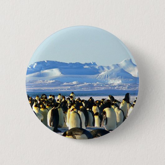 keizerpinguïns ronde button 5,7 cm (Voorkant)