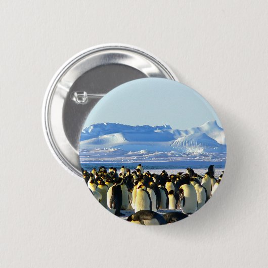 keizerpinguïns ronde button 5,7 cm (Voorkant /achterkant)