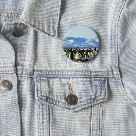 keizerpinguïns ronde button 5,7 cm (In situ)