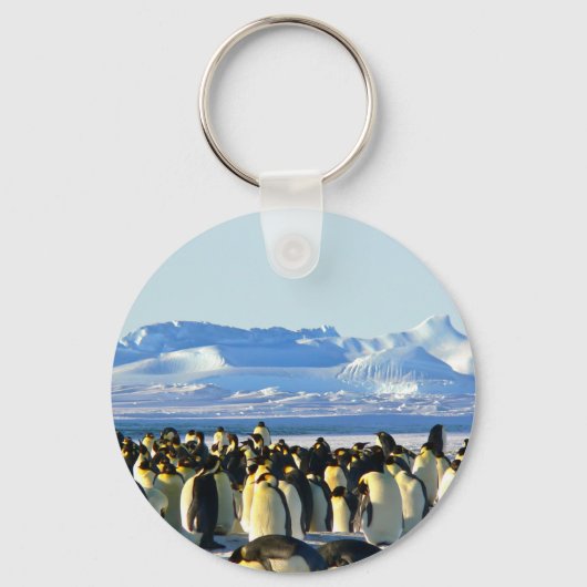 keizerpinguïns sleutelhanger (Voorkant)