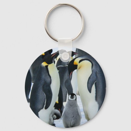 keizerpinguïns sleutelhanger (Voorkant)