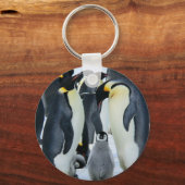 keizerpinguïns sleutelhanger (Voorkant)