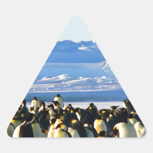 keizerpinguïns sticker
